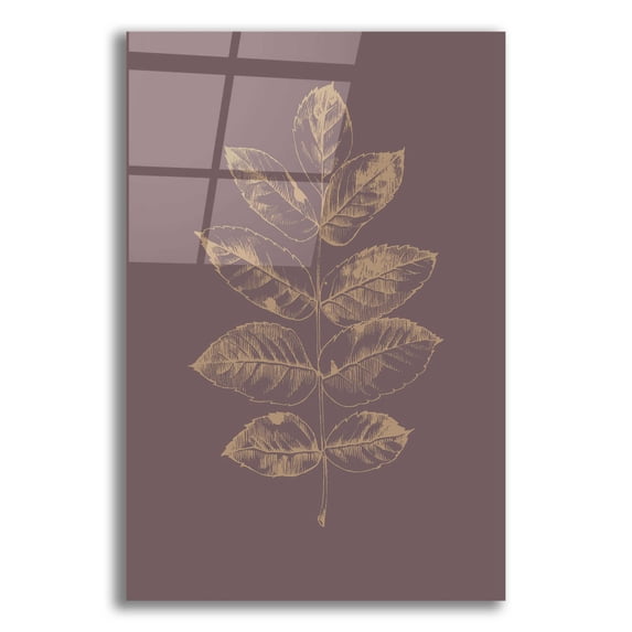 Epic Art 'Botanica 2' by Design Fabrikken, Acrylic Glass Wall Art, 16"x24"