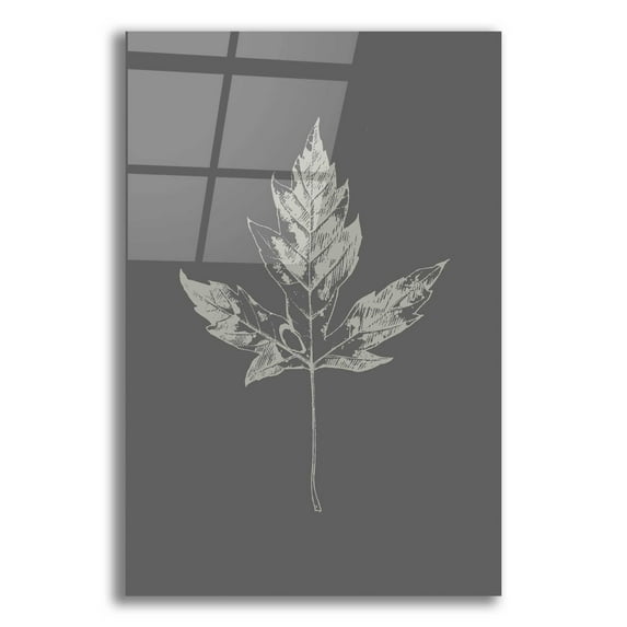 Epic Art 'Botanica 5' by Design Fabrikken, Acrylic Glass Wall Art, 12"x16"