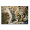 thumbnail image 1 of Epic Art 'Bright Eyes' by Janet Pidoux, Acrylic Glass Wall Art, 16"x12", 1 of 8