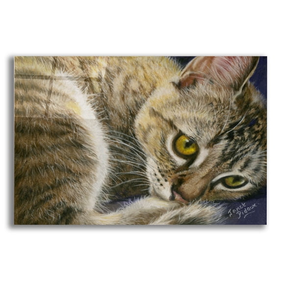 Epic Art 'Bright Eyes' by Janet Pidoux, Acrylic Glass Wall Art, 16"x12"