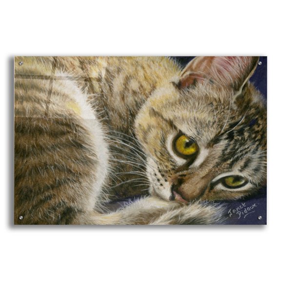 Epic Art 'Bright Eyes' by Janet Pidoux, Acrylic Glass Wall Art, 36"x24"