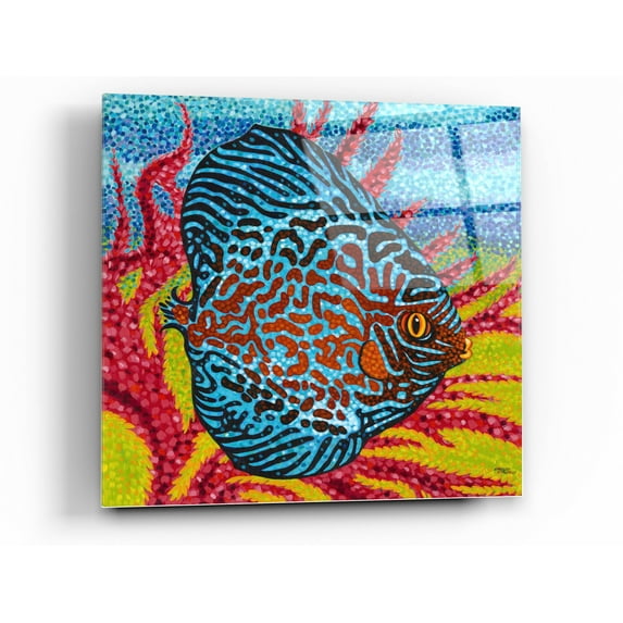 Epic Art 'Brilliant Tropical Fish II' by Carolee Vitaletti Acrylic Glass Wall Art, 36"x36"