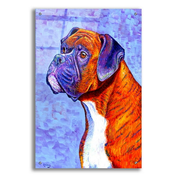 Epic Art 'Brindle Boxer Dog' by Rebecca Wang Art, Acrylic Glass Wall Art, 24"x36"