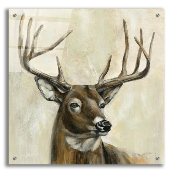 Epic Art 'Bronze Deer' by Silvia Vassileva, Acrylic Glass Wall Art, 24"x24"