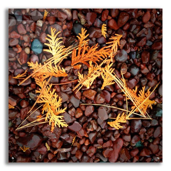 Epic Art 'Brown Pebbles with Cedar' by Jan Bell Acrylic Glass Wall Art, 36"x36"