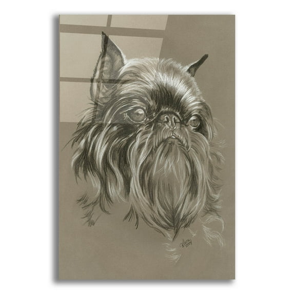 Epic Art 'Brussels Griffon 2' by Barbara Keith, Acrylic Glass Wall Art, 12"x16"