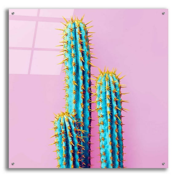 Epic Art 'Bubble Gum Cactus' by Epic Portfolio, Acrylic Glass Wall Art, 36"x36"
