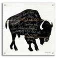 thumbnail image 1 of Epic Art 'Buffalo in Black' by Cindy Jacobs, Acrylic Glass Wall Art, 24"x24", 1 of 8