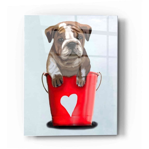 Epic Art 'Bulldog Bucket Of Love, Red' by Fab Funky Acrylic Glass Wall Art, 12"x16"