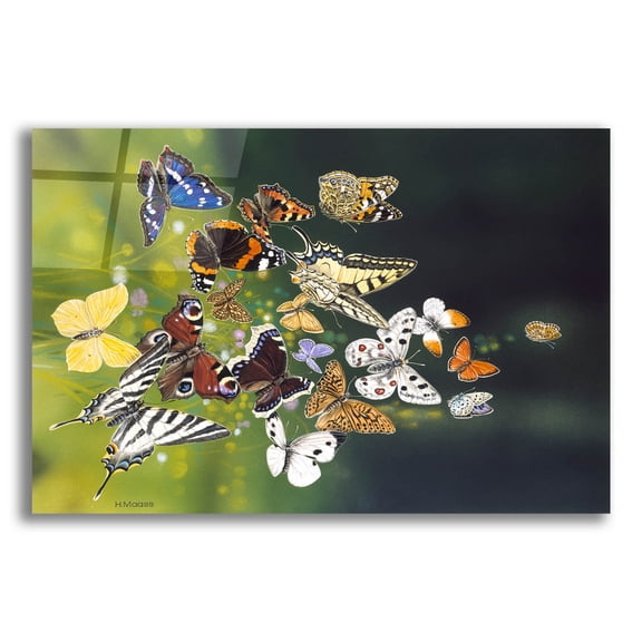 Epic Art 'Butterflies' by Harro Maass, Acrylic Glass Wall Art, 16"x12"