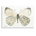 thumbnail image 1 of Epic Art 'Butterfly 2' by Stellar Design Studio, Acrylic Glass Wall Art, 16"x12", 1 of 3