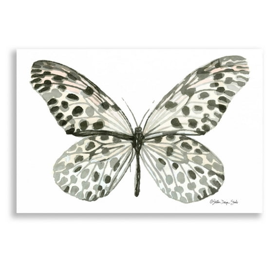 Epic Art 'Butterfly 3' by Stellar Design Studio, Acrylic Glass Wall Art, 16"x12"