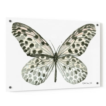 Epic Art 'Butterfly 3' by Stellar Design Studio, Acrylic Glass Wall Art, 36"x24"