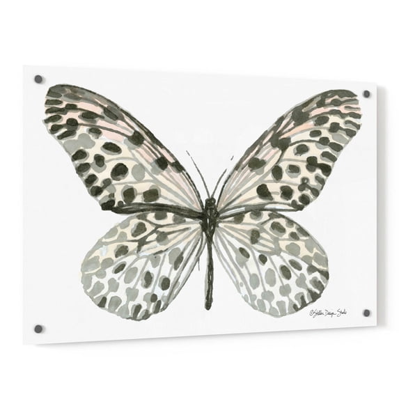 Epic Art 'Butterfly 3' by Stellar Design Studio, Acrylic Glass Wall Art, 36"x24"