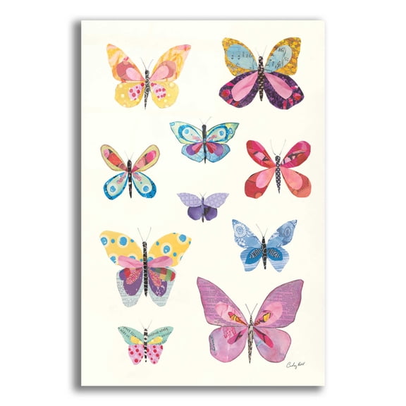 Epic Art 'Butterfly Charts II by Courtney Prahl, Acrylic Glass Wall Art, 12"x16"