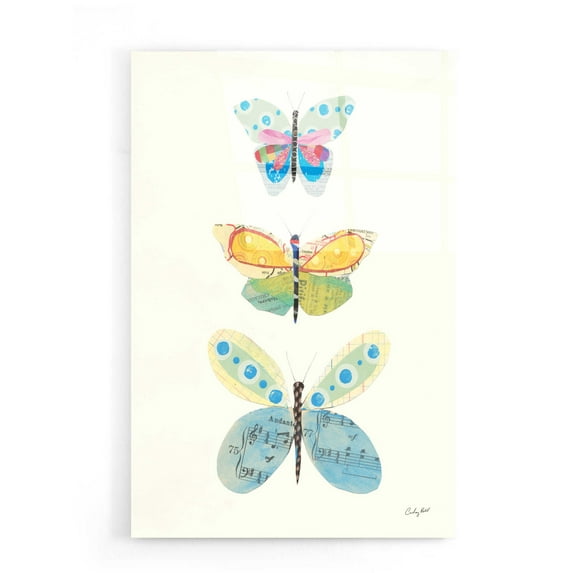 Epic Art 'Butterfly Charts IV' by Courtney Prahl, Acrylic Glass Wall Art, 16"x24"