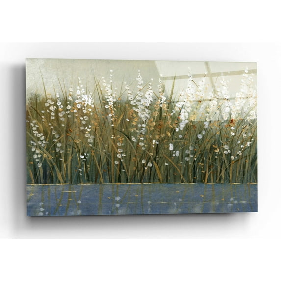 Epic Art 'By the Tall Grass II' by Tim O'Toole, Acrylic Glass Wall Art, 24"x16"
