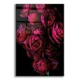 thumbnail image 1 of Epic Art 'Cabbage Roses' by Elise Catterall, Acrylic Glass Wall Art, 16"x24", 1 of 8