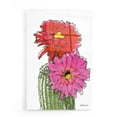 thumbnail image 1 of Epic Art 'Cactus Flower 1' by Stellar Design Studio, Acrylic Glass Wall Art, 16"x24", 1 of 3