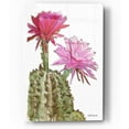 thumbnail image 1 of Epic Art 'Cactus Flower 2' by Stellar Design Studio, Acrylic Glass Wall Art, 12"x16", 1 of 2