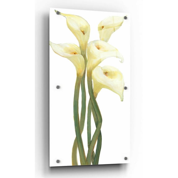 Epic Art 'Callas on Silver II' by Tim O'Toole, Acrylic Glass Wall Art, 24"x48"