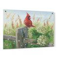 thumbnail image 1 of Epic Art 'Cardinal on Fence' by Pam Britton, Acrylic Glass Wall Art, 36"x24", 1 of 5