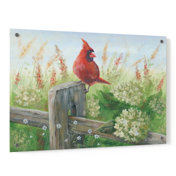 Epic Art 'Cardinal on Fence' by Pam Britton, Acrylic Glass Wall Art, 36"x24"
