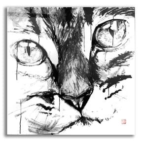 Epic Art 'Cat Face' by Pechane, Acrylic Glass Wall Art, 12"x12"