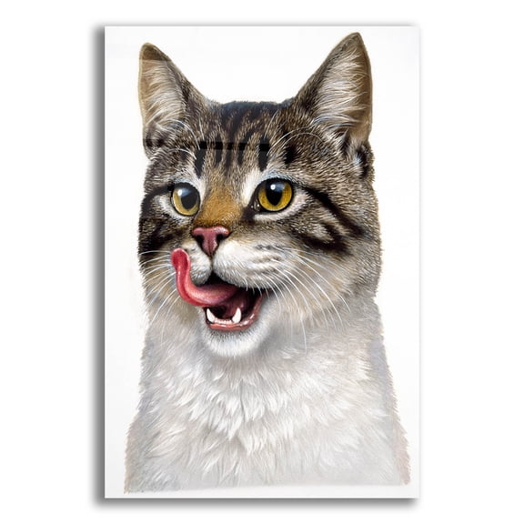 Epic Art 'Cat' by Harro Maass, Acrylic Glass Wall Art, 12"x16"