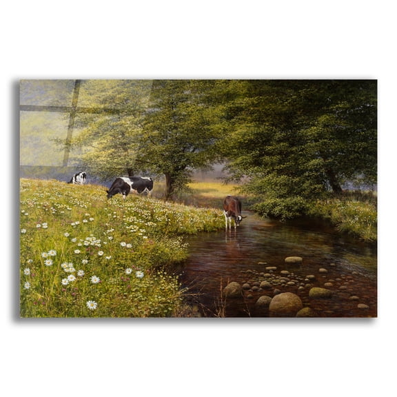 Epic Art 'Cattle By The Stream' by Bill Makinson, Acrylic Glass Wall Art, 24"x16"