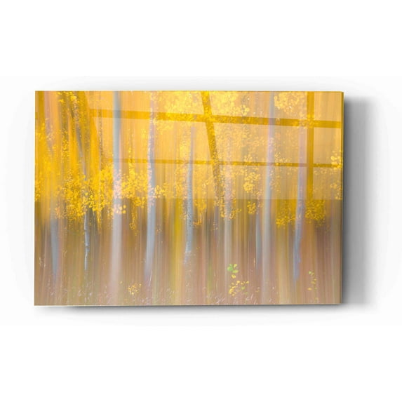 Epic Art "Changing Seasons" by Darren White, Acrylic Glass Wall Art, 12"x16"