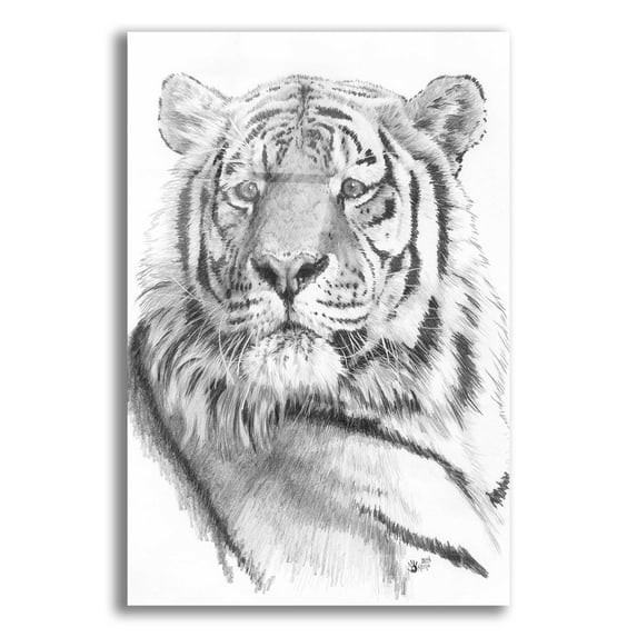 Epic Art 'Charisma' by Barbara Keith, Acrylic Glass Wall Art, 16"x24"