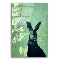 Epic Art ' Cheeky Rabbit' by Trudy Rice, Acrylic Glass Wall Art, 24"x36"