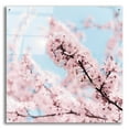 thumbnail image 1 of Epic Art 'Cherry Blossom Clouds' by Keri Bevan, Acrylic Glass Wall Art, 36"x36", 1 of 8