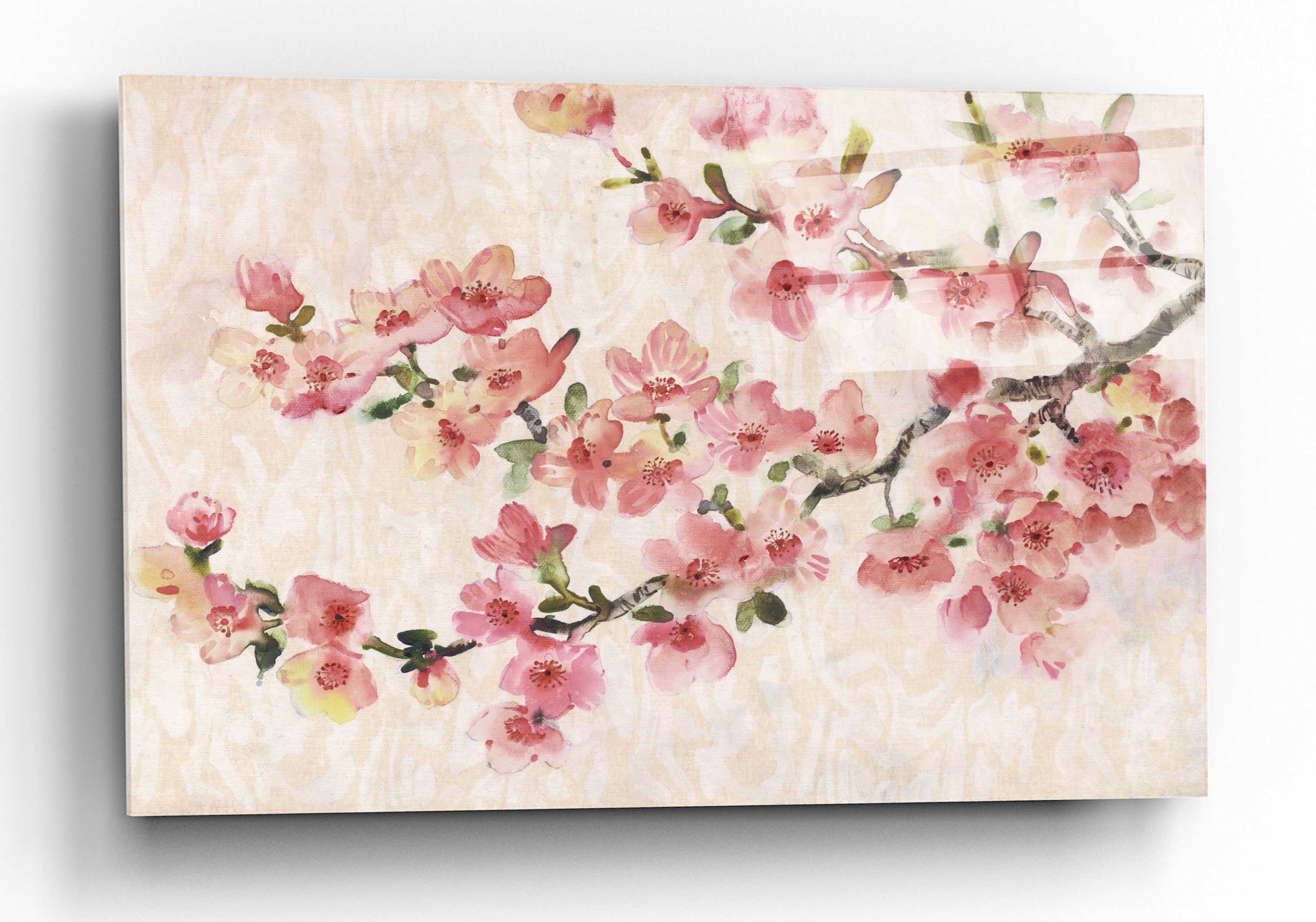 Cherry Blossom Composition I Canvas Wall Art 16" x 12"