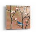 thumbnail image 1 of Epic Art 'Cherry Blossoms I' by Kathrine Lovell, Acrylic Glass Wall Art, 12"x12", 1 of 1