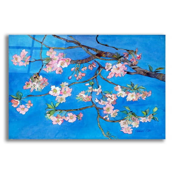 Epic Art 'Cherry Blossoms' by Sharon Pitts, Acrylic Glass Wall Art, 24"x16"