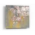 thumbnail image 1 of Epic Art 'Cherry Cloud' by Silvia Vassileva, Acrylic Glass Wall Art, 12"x12", 1 of 1