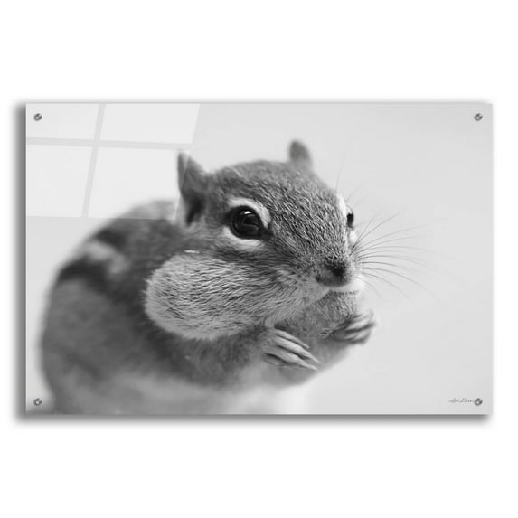 Epic Art 'Chippy' by Lori Deiter, Acrylic Glass Wall Art, 36"x24"