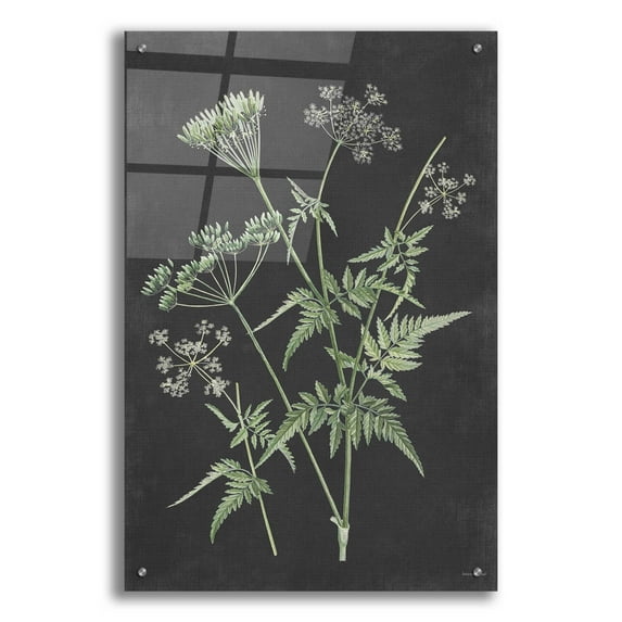 Epic Art 'Chives' by Lettered & Lined, Acrylic Glass Wall Art, 24"x36"