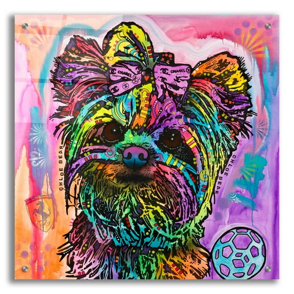 Epic Art 'Chloe Bear' by Dean Russo, Acrylic Glass Wall Art, 24"x24"
