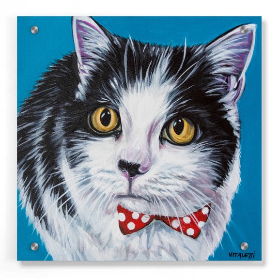 Epic Art 'Classy Cat I' by Carolee Vitaletti, Acrylic Glass Wall Art, 36"x36"