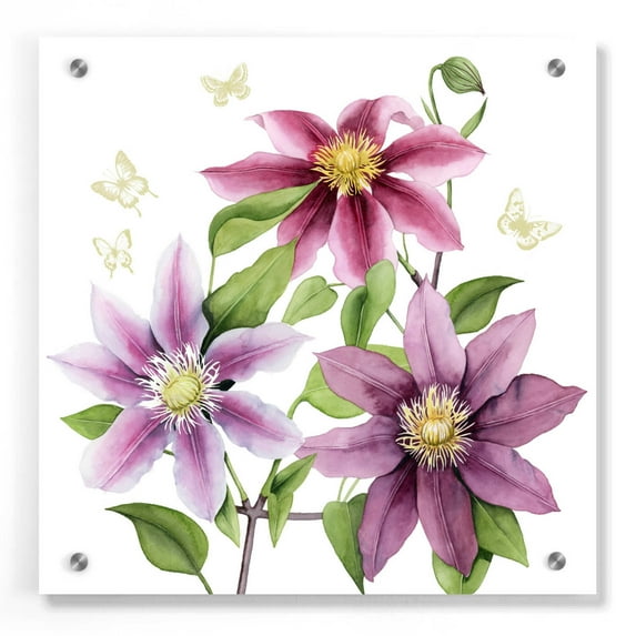Epic Art 'Clematis Climb II' by Grace Popp, Acrylic Glass Wall Art, 36"x36"