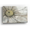 thumbnail image 1 of Epic Art 'Close-Up Daisy I' by Tim O'Toole, Acrylic Glass Wall Art, 16"x12", 1 of 3