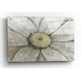 thumbnail image 1 of Epic Art 'Close-Up Daisy II' by Tim O'Toole, Acrylic Glass Wall Art, 36"x24", 1 of 5