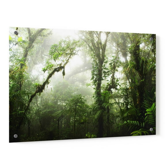 Epic Art 'Cloud Forest' by Nicklas Gustafsson Acrylic Glass Wall Art, 36"x24"