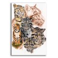 thumbnail image 1 of Epic Art 'Clouded Leopard with Ghost Image' by Barbara Keith, Acrylic Glass Wall Art, 12"x16", 1 of 8