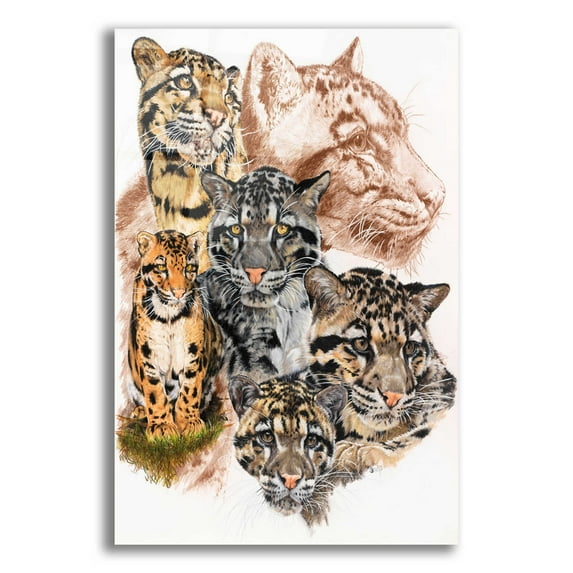 Epic Art 'Clouded Leopard with Ghost Image' by Barbara Keith, Acrylic Glass Wall Art, 12"x16"