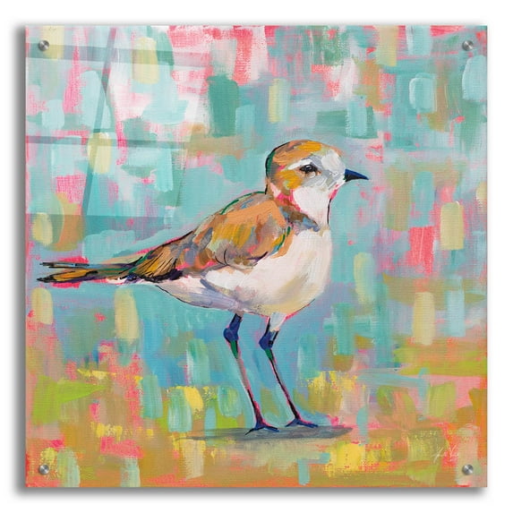 Epic Art 'Coastal Plover III' by Jeanette Vertentes, Acrylic Glass Wall Art, 24"x24"