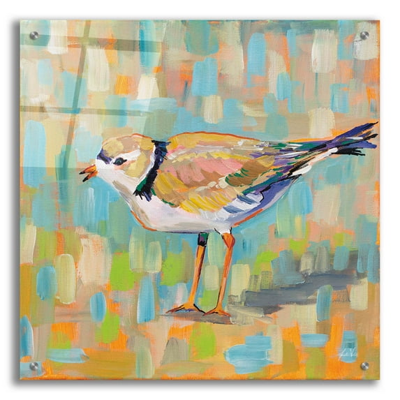 Epic Art 'Coastal Plover IV' by Jeanette Vertentes, Acrylic Glass Wall Art, 24"x24"